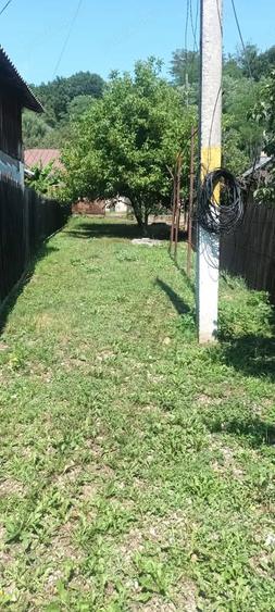 Casă cu 3 camere cu Teren 3200 Mp în Mislea