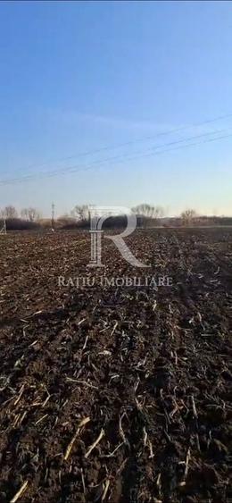 Teren Construcții intravilan de 1780 mp, în Sânmartin