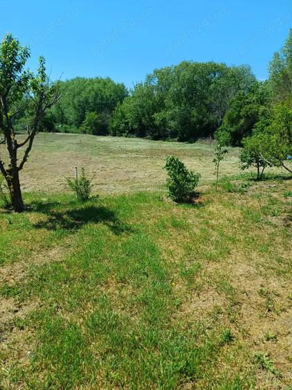 Casa Crevedia Mare Giurgiu - 9