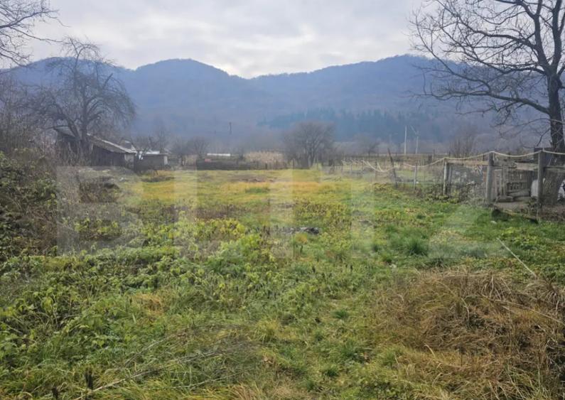 Teren de vanzare Nasaud - 3