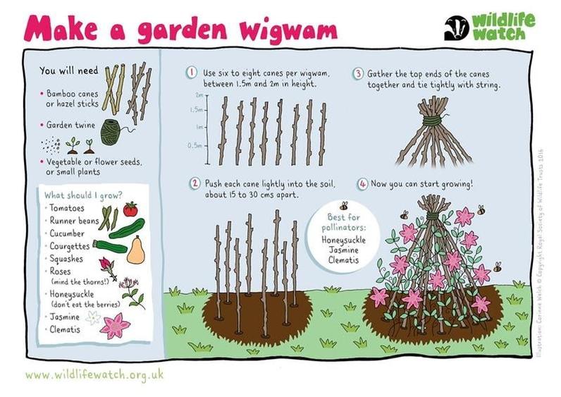 Complex rezidential turistic - 12