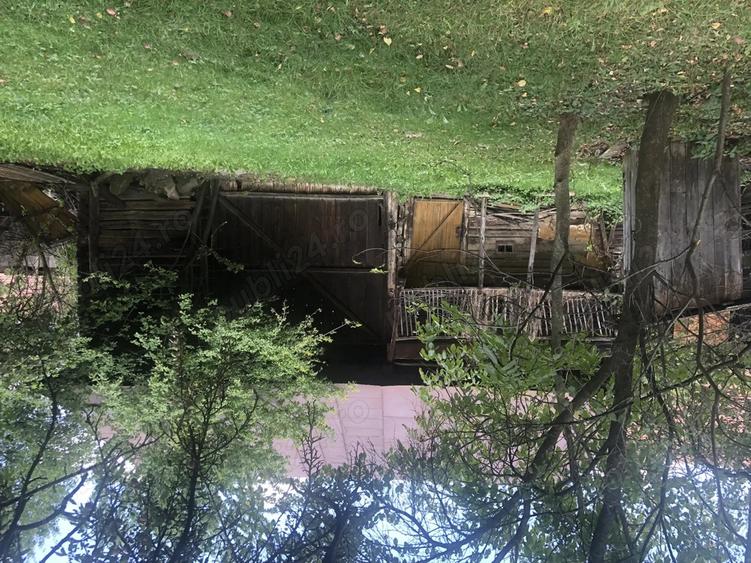 Casa batraneasca de vanzare in satul Martanus, Jud. Covasna - 8