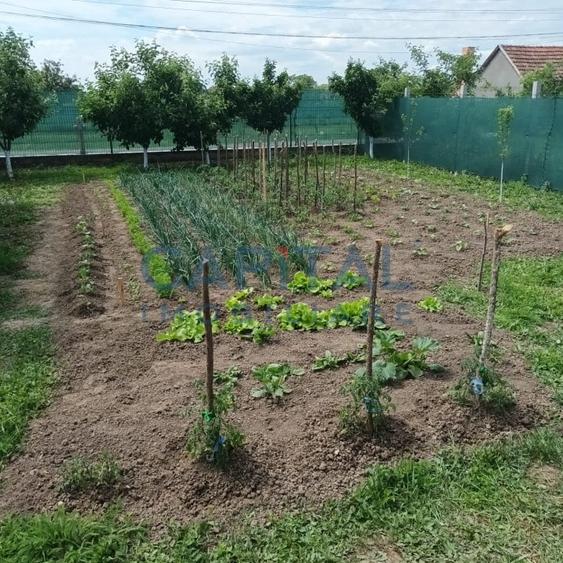 Comision 0%,  Teren - Casa de vacanta - 20