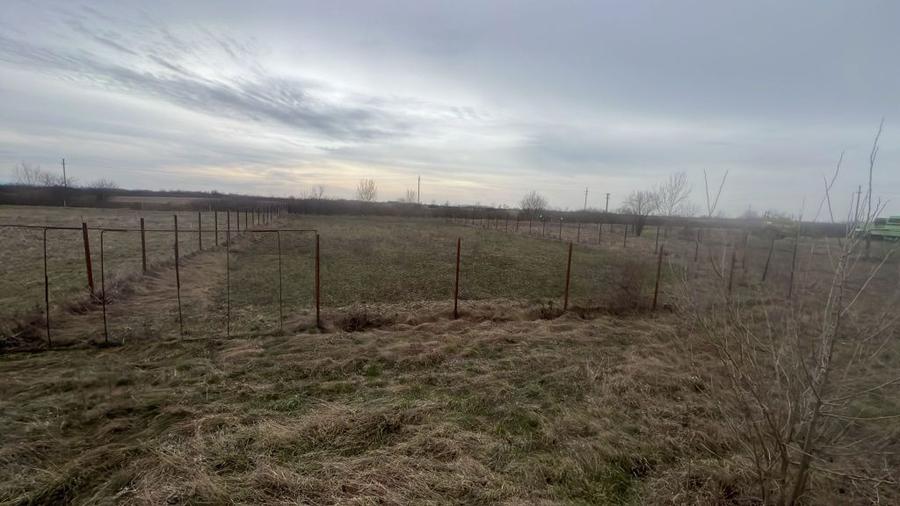 Vand teren intravilan in localitatea Dragsina (Timis) - 2