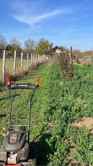 Teren 6.150 mp intravilan Gradistea, Ilfov - 1