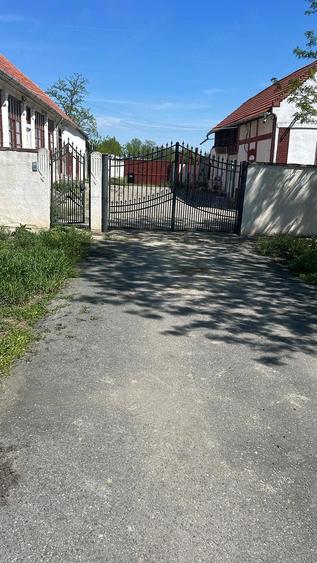 Proprietate generoasa, teren 6000 mp ideala pentru familie extinsa sau investi?ie - 1