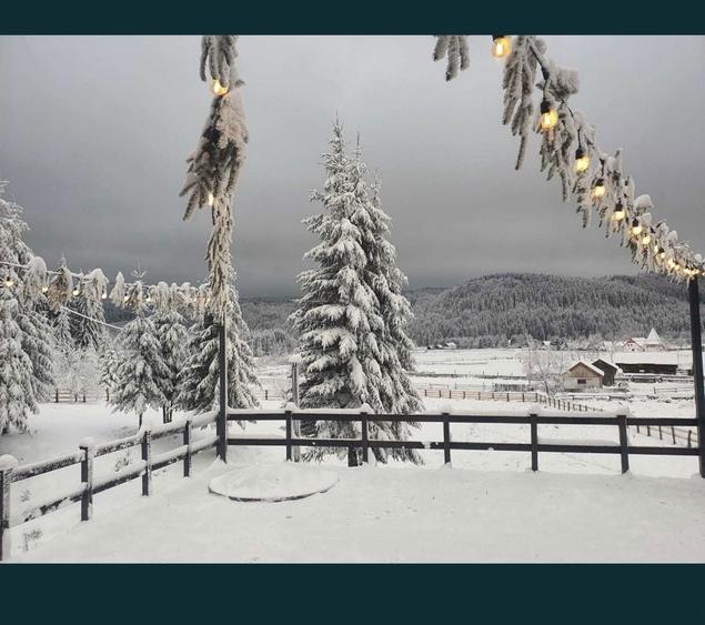 Vila-Cabana Comandau - 7