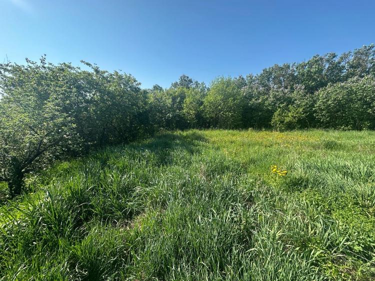 Casa Individuala Ozun Covasna teren 3200 mp - 9