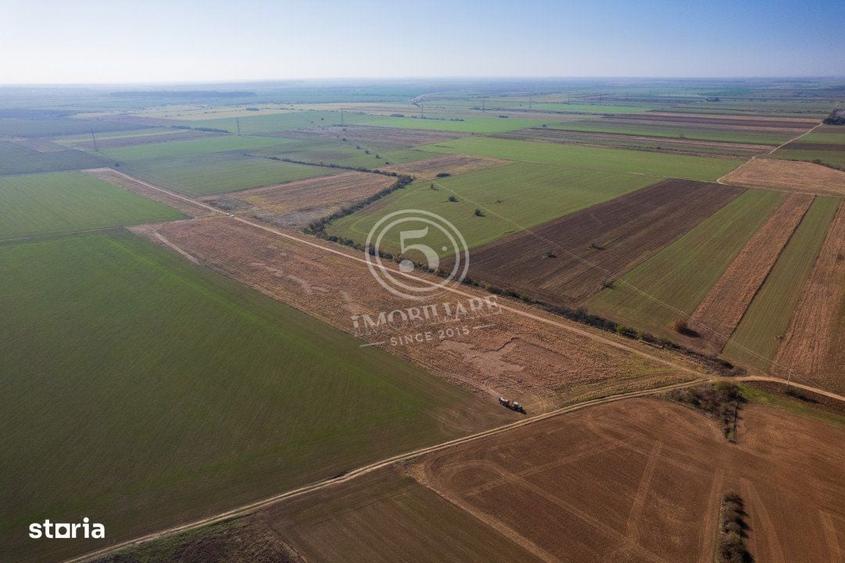 Ocazie- Teren Intravilan de Vanzare- Peris Snagov- Doar 10 euro/mp - 1