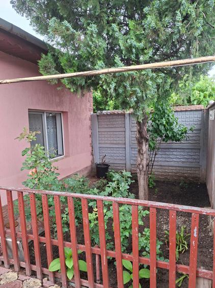 Casa de vanzare sector 5 - 3