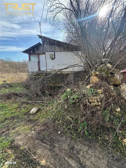 Teren intravilan I 1000 MP I Nadaselu - 6