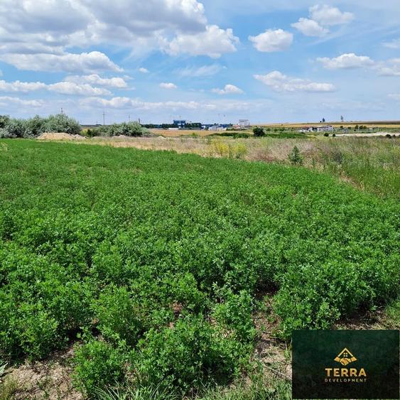 Loturi de teren , vis-a-vis de Insula Ovidiu - 6