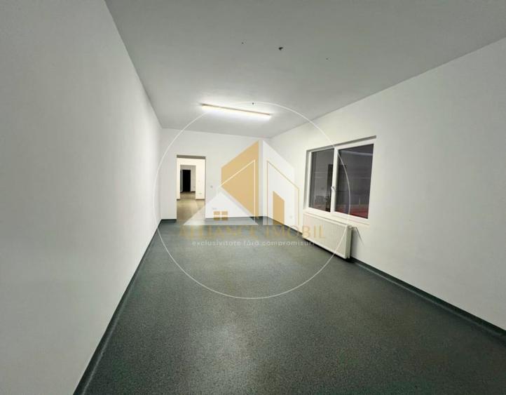 Spațiu industrial cu utilizare mixtă(producție ,depozit, birouri) – de închiriat - 10