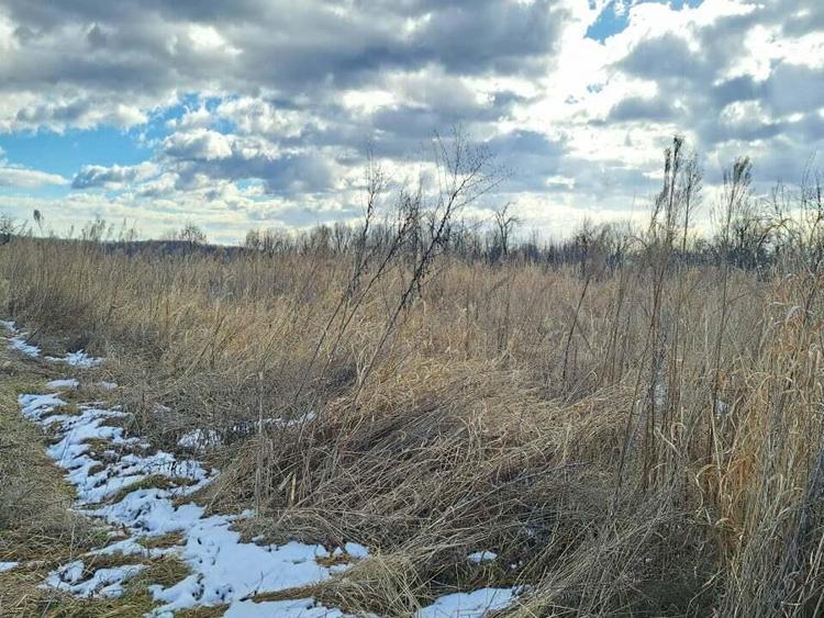 Gospodarie taraneasca in Cuca, Arges - ZERO comision la cumparator! - 12