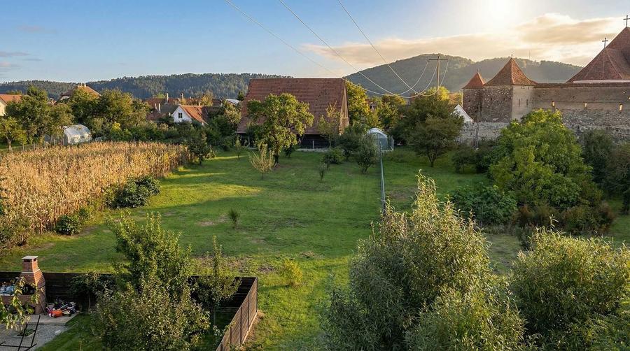 Gradina din Cetate un colt de natura si istorie, doar al Tau - 6