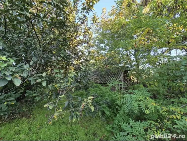 Casa batraneasca - 7