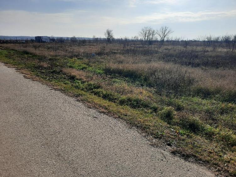 FARA COMISION TEREN intravilan curs constructii la 20m de asfalt gaze curent - 2