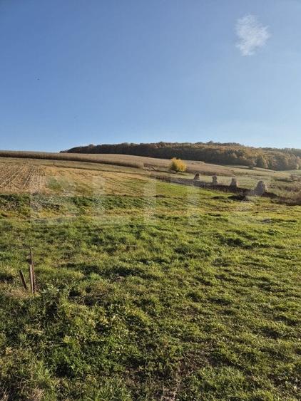 Proprietate de vanzare in Bardesti cu 1900 mp teren - 13
