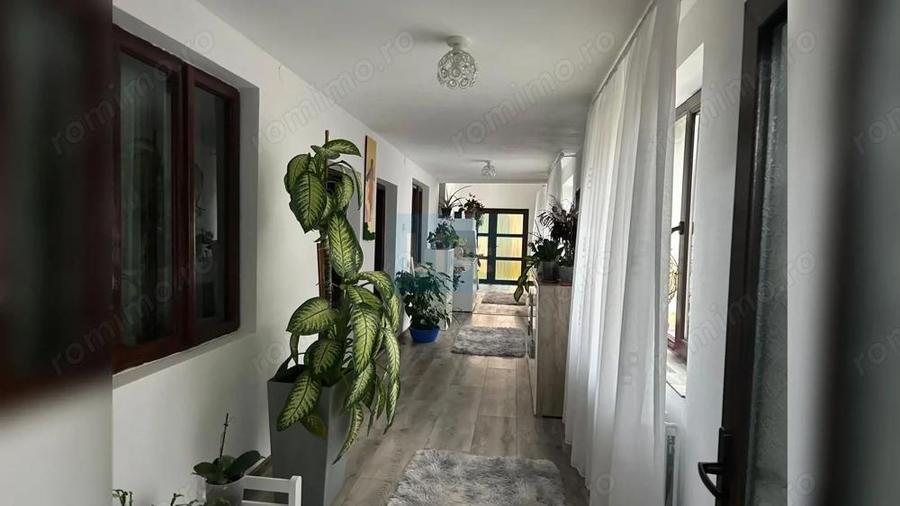 Casa P+M renovata, teren generos de 3000 m2 Bale?ti - 2