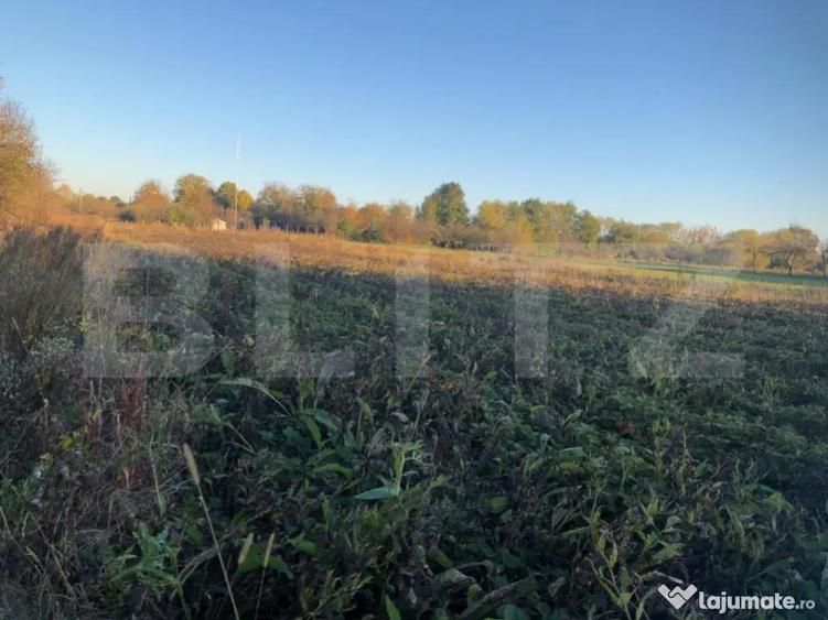 Casa batraneasca, 1500 mp teren, comuna Pomi - 16