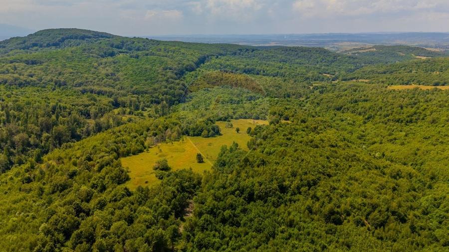 COMISION 0% Teren Grid/Inima Naturii/ Oportunitate de investitie - 5