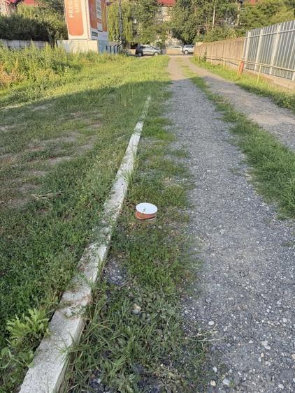 Deschidere stradala la DN1 sens spre Bucuresti - 4