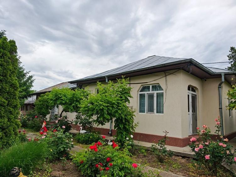 Casa spatioasa cu teren 2000 mp, aproape de oras Cuza Voda, str. Bisericii. SE POATE VINDE SI FRACTIONAT. DETALII IN DESCRIERE. - 7