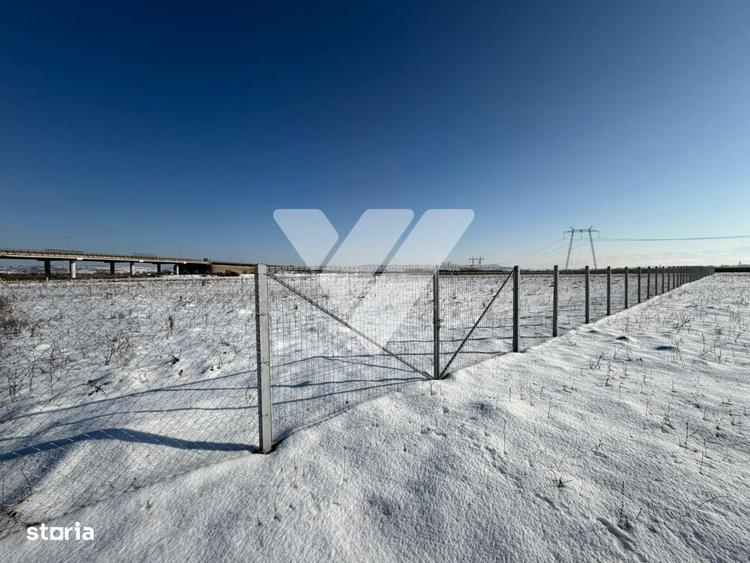 Teren agricol 4200 mp pretabil investitie imprejmuit ,Calea surii mici - 6