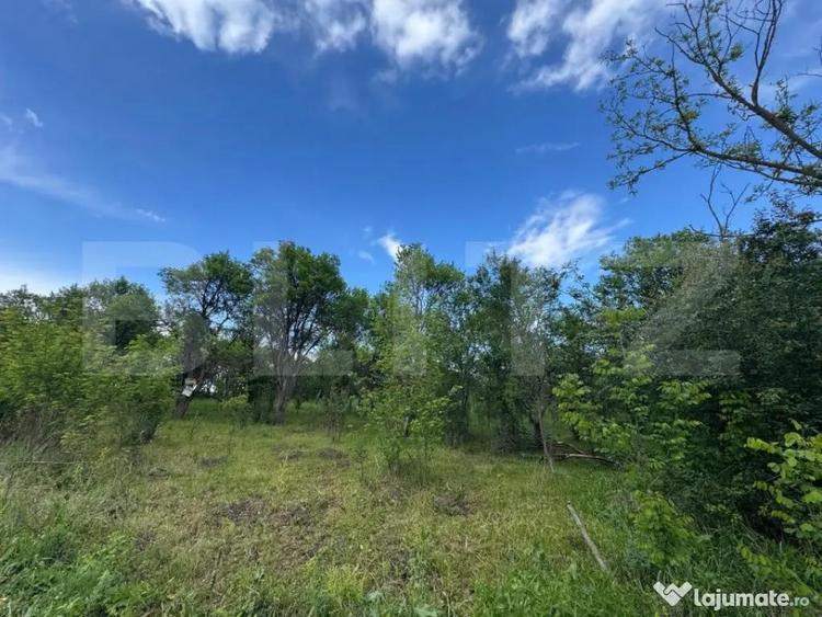 Teren extravilan de vanzare, 6000 mp, zona Hateg - 2