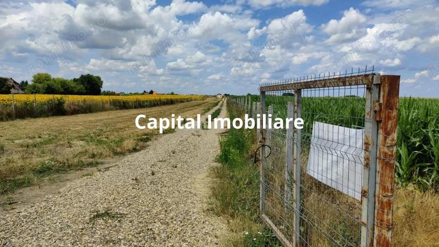 Teren agricol 9100 mp - 45.500 - 1