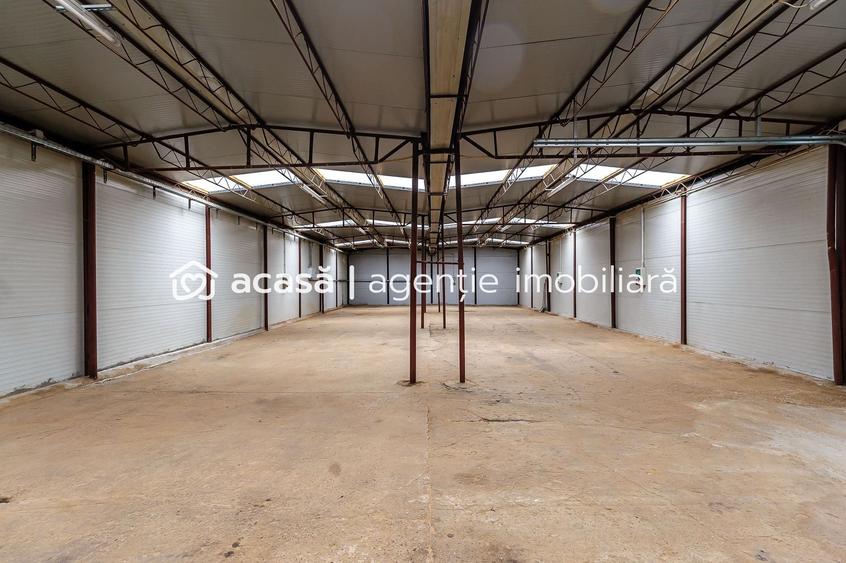 Hale depozitare/producție 2.000 mp si 10.000 mp teren în Pecica - 5