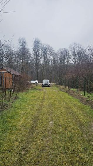 Teren Exclusivist 600  mp cu deschidere 20 ml – lângă pădurea  Cornetu. - 4