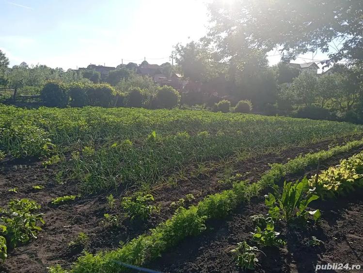 Casa in Nou 14 km de Sibiu - 1