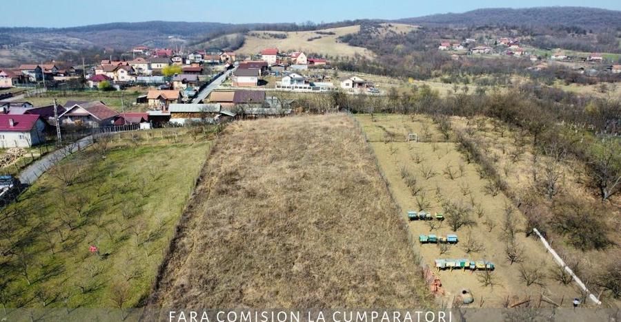 CAZANESTI, TEREN 3336mp - DESCHIDERE 27m - 8