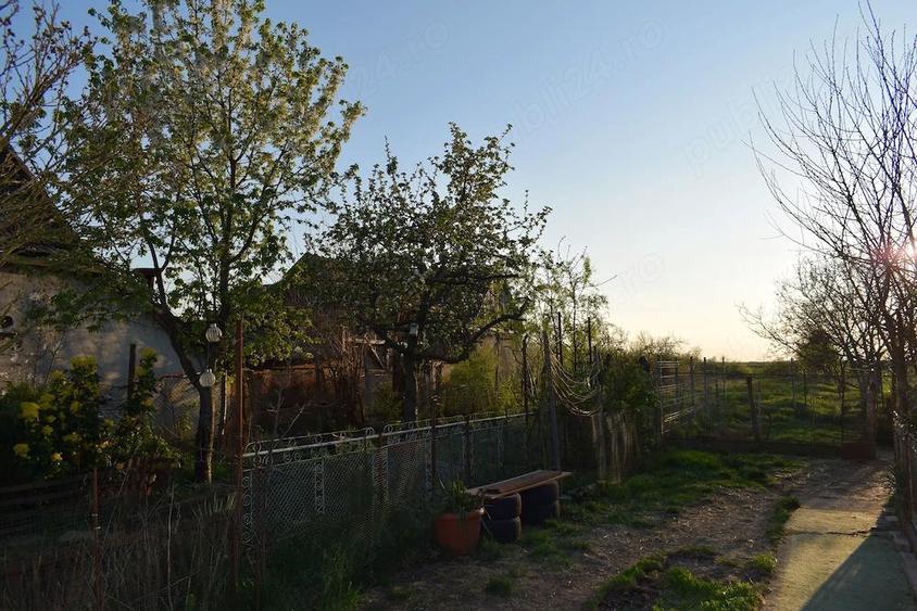 Teren intravilan 1000mp + casuta mica structura metalica + casa demolabila - 6