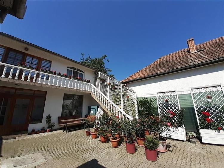 FILM& 3D!Proprietate duala distinctiva: showroom,birouri,locuinta,venit pasiv, i - 2