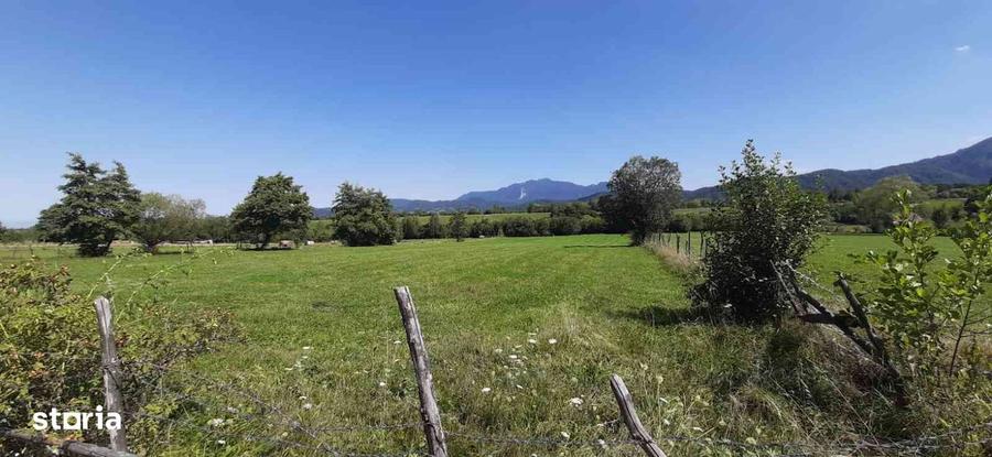 Teren BRAN SOHODOL 9350 mp. - 5