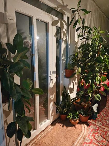 Vand sau schimb casa la Harau - 5