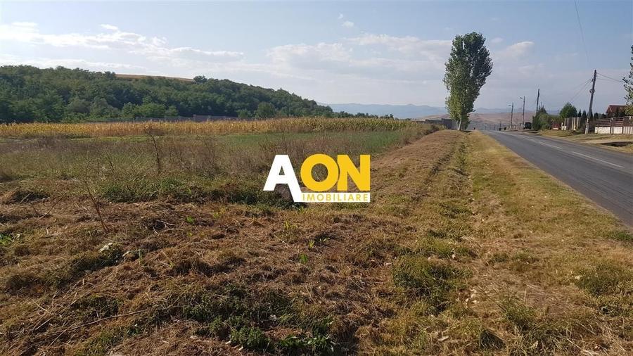 Teren intravilan Teleac cu toate utilitatile - 2