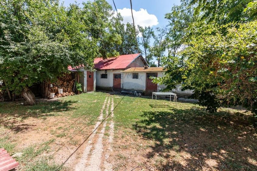 Casa+Laborator+ Teren 12.700 mp + casa de vacanta - Bolintin Vale - 58