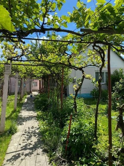 Casa singur in curte cu acces auto - 1