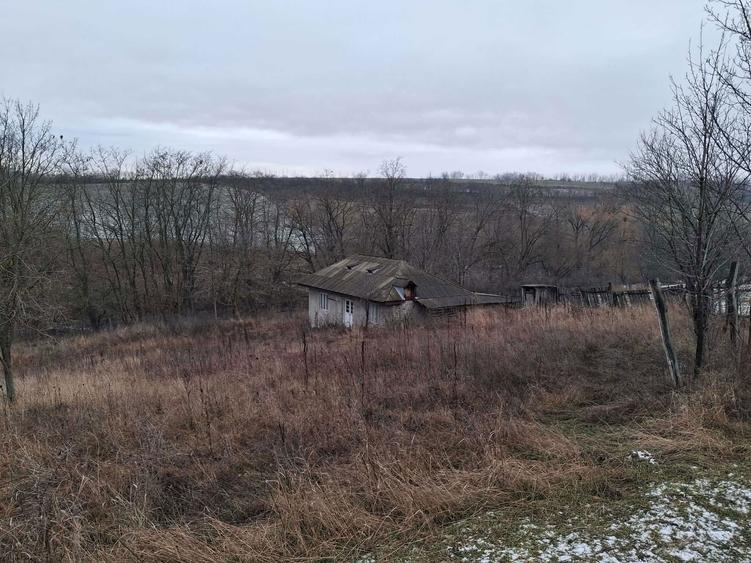 2 terenuri si casa de vanzare - 8