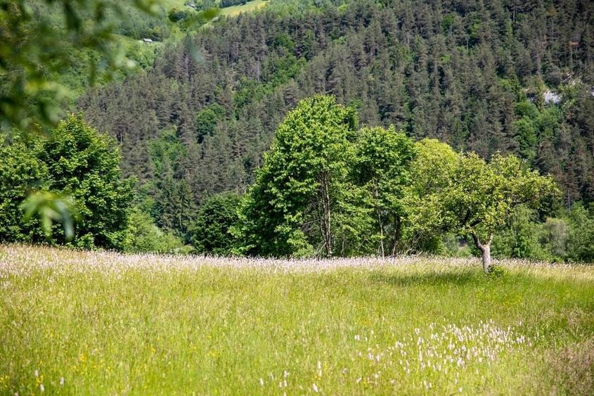 Teren intravilan - 1.050 mp &icirc;n Bran cu utilitati - priveliște Bucegi - 8