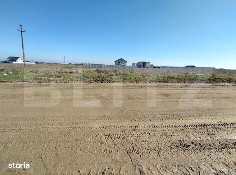 Lot 5 parcele intravilan, Metro, 7439 mp, acces la utilitati - 4