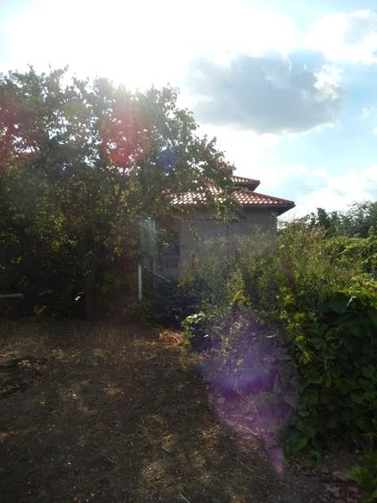 Calugareni-Branistari-casa 4 camere, teren 1965 mp, curent, put, libera,69900 € - 32