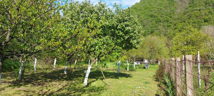 Teren intrare Herculane,E 70 Herculane-Orsova - 1