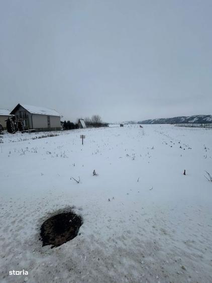 COMISION 0%!!! Teren intravilan,750 mp, in Viisoara - 3