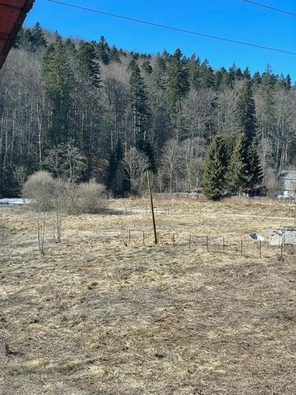 Credit Imobiliare va ofera spre vanzare o vila aplasata in Zona Valea Rasnoavei - 6