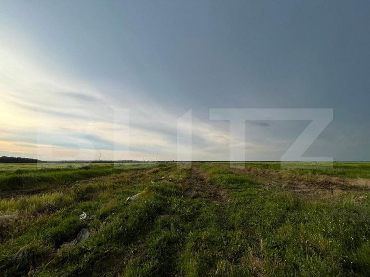 Teren partial intravilan 23.500 mp, apa, curent si supraveghere video, Bucovat - 5