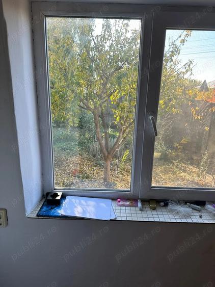 2 case in Comuna Salcia Jud. Teleorman + 7500 mp teren intravilan - 7